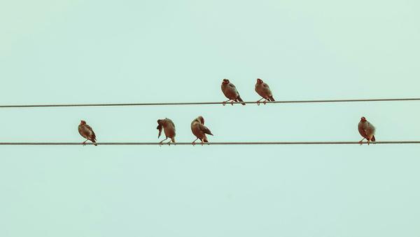 &copy; Foto: Brajendra Singh/unsplash